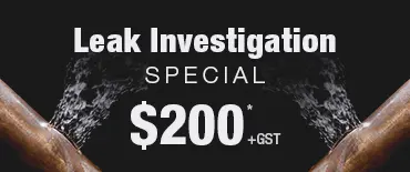 Leak Investigation Discount Bethells Beach