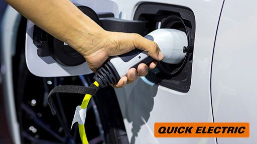 Fast, One Time Service In Bethells Beach